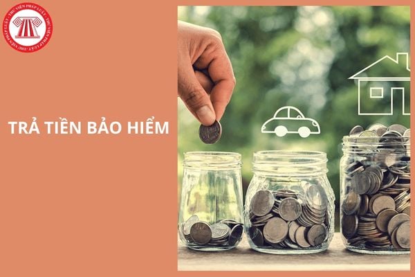 Hỏi đáp Pháp luật