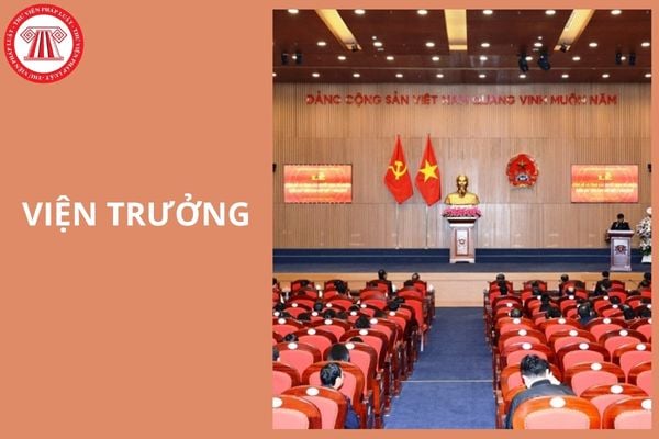 Hỏi đáp Pháp luật