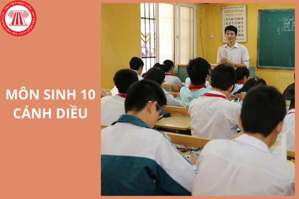 Đề thi giữa học kì 2 môn sinh 10 2025 Cánh diều có lời giải?