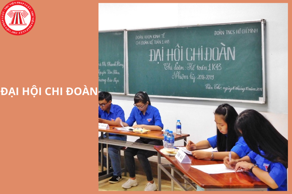 Hỏi đáp Pháp luật