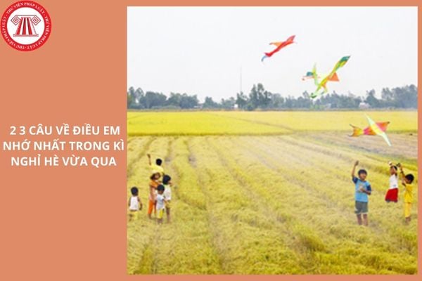Hỏi đáp Pháp luật
