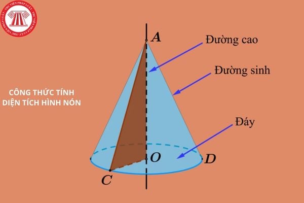 Hỏi đáp Pháp luật