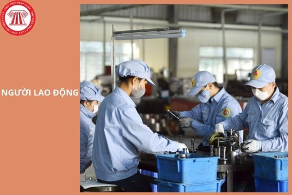Hỏi đáp Pháp luật