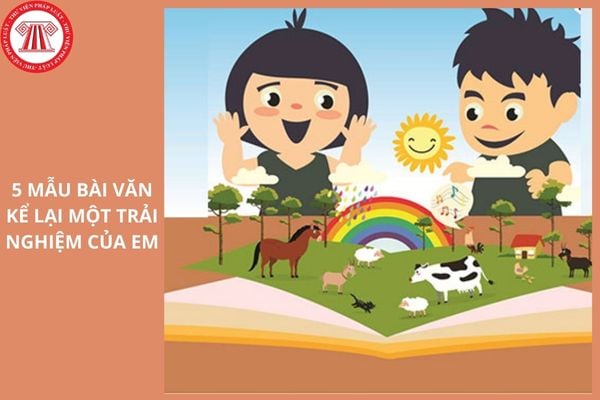 Hỏi đáp Pháp luật