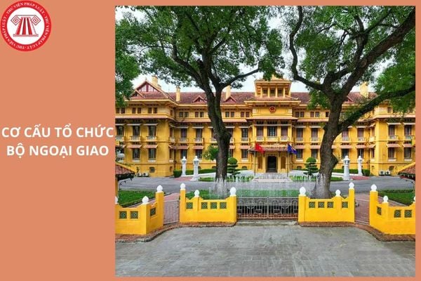 Hỏi đáp Pháp luật