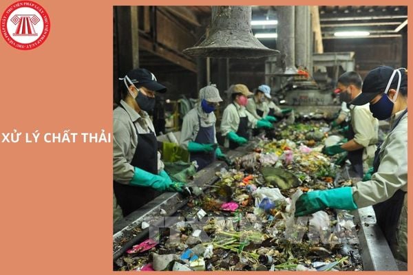 Hỏi đáp Pháp luật