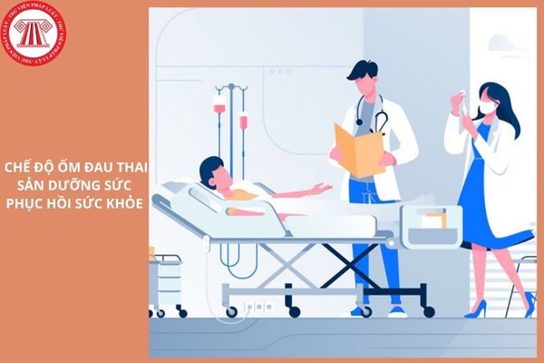 Hỏi đáp Pháp luật