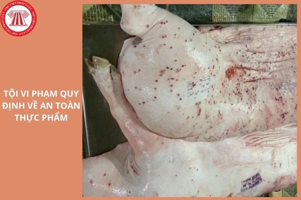 Tội vi phạm quy định về an toàn thực phẩm bị phạt tù nhiều nhất bao nhiêu năm?