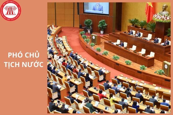 Hỏi đáp Pháp luật