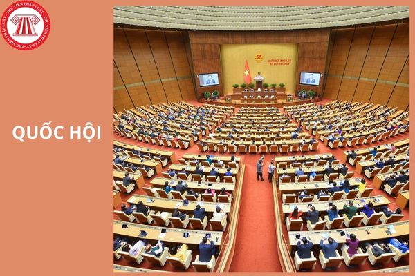 Hỏi đáp Pháp luật