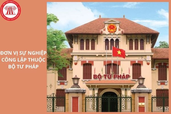 Hỏi đáp Pháp luật