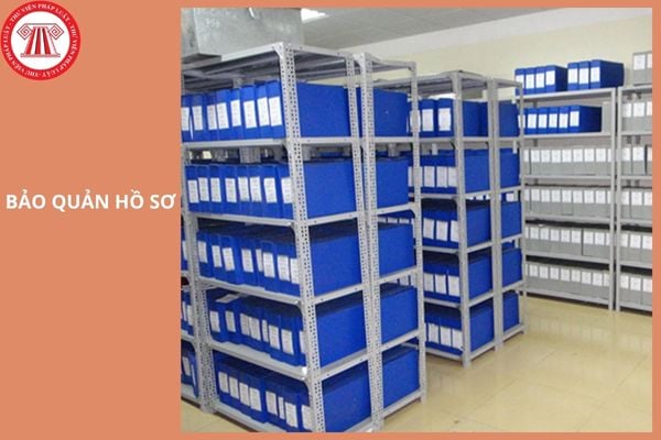 Hỏi đáp Pháp luật