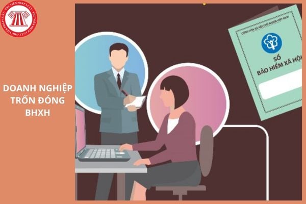 Hỏi đáp Pháp luật