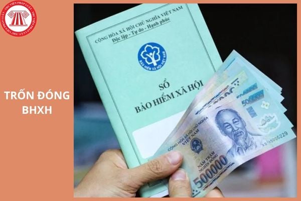 Hỏi đáp Pháp luật