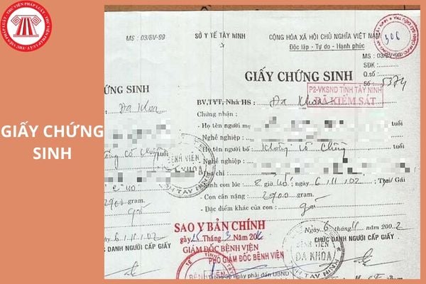 Hỏi đáp Pháp luật