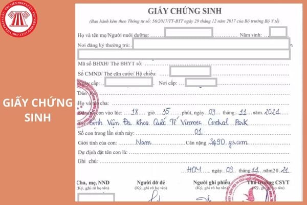 TOÀN VĂN Quyết định 1898 QĐ BYT 2025 ban hành quy định chuẩn và định dạng dữ liệu điện tử Giấy chứng sinh ra sao?