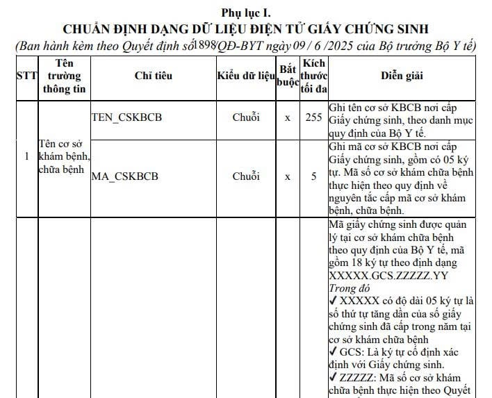 Chuẩn định dạng dữ liệu điện tử Giấy chứng sinh