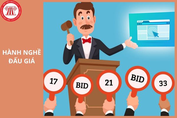 Trình tự thủ tục cấp chứng chỉ hành nghề đấu giá từ 1/7/2025 như thế nào?
