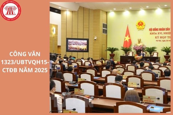 Hỏi đáp Pháp luật