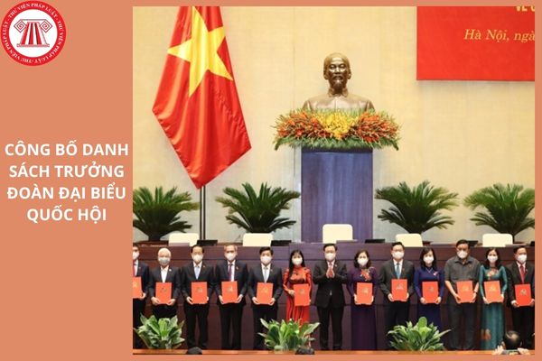 Hỏi đáp Pháp luật