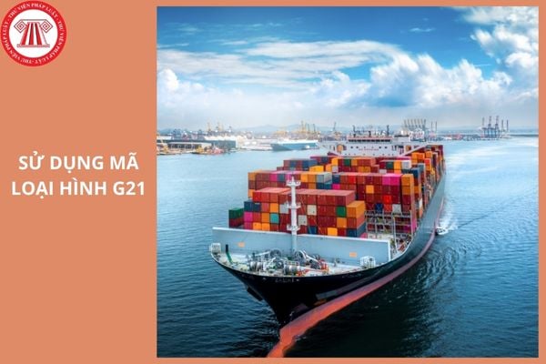 Hướng dẫn sử dụng mã loại hình G21 như thế nào?