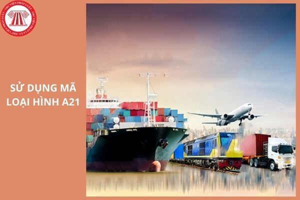 Hướng dẫn sử dụng mã loại hình A21 như thế nào?