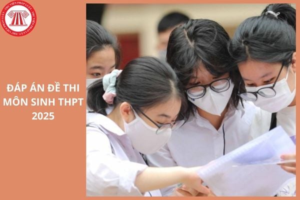 Hỏi đáp Pháp luật