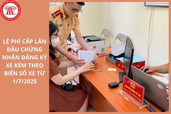 Hỏi đáp Pháp luật