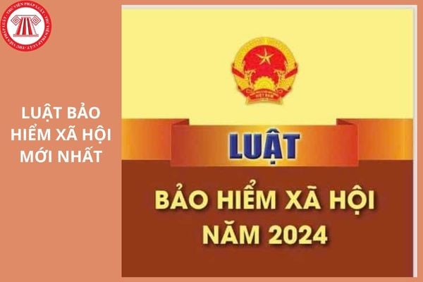 Hỏi đáp Pháp luật