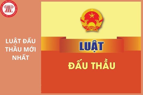 Hỏi đáp Pháp luật