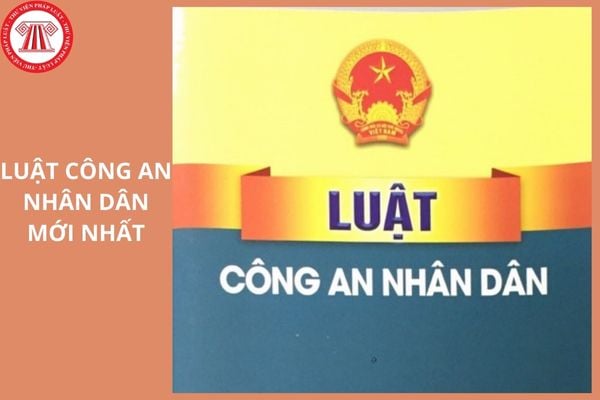 Hỏi đáp Pháp luật