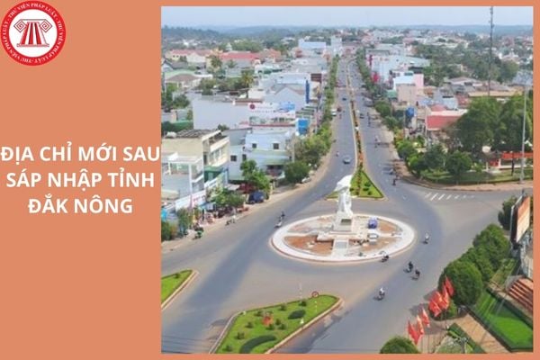 Hỏi đáp Pháp luật