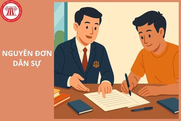 Nguyên đơn dân sự là gì? Quyền và nghĩa vụ của nguyên đơn dân sự gồm những gì?