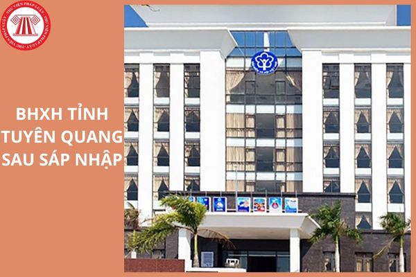 Hỏi đáp Pháp luật