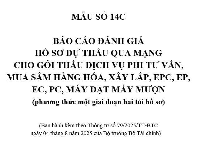 Mẫu số 14C Thông tư 79 - Mẫu Báo cáo đánh giá hồ sơ dự thầu qua mạng (phương thức một giai đoạn hai túi hồ sơ)