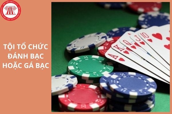 Tội tổ chức đánh bạc hoặc gá bạc bị phạt tù nhiều nhất bao nhiêu năm?