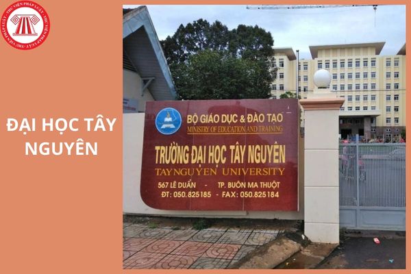Điểm chuẩn trường Đại học Tây Nguyên 2025 là bao nhiêu?