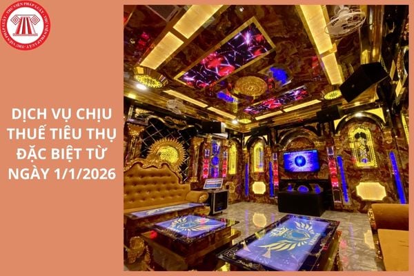 Dịch vụ chịu thuế tiêu thụ đặc biệt từ ngày 1/1/2026 gồm những dịch vụ nào?