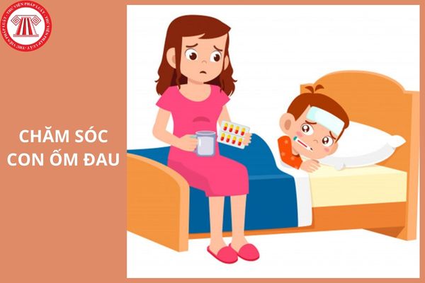 Hỏi đáp Pháp luật