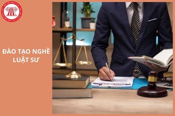 Giảng viên trong lĩnh vực pháp luật có được miễn đào tạo nghề luật sư không?