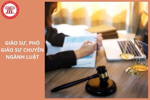 Hỏi đáp Pháp luật