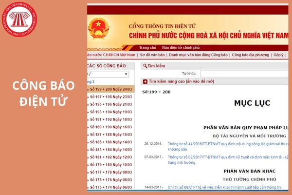 Hỏi đáp Pháp luật