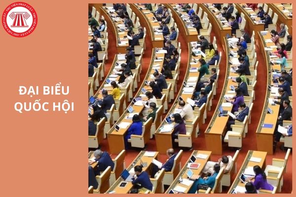 Tổng số lượng đại biểu Quốc hội là bao nhiêu người?