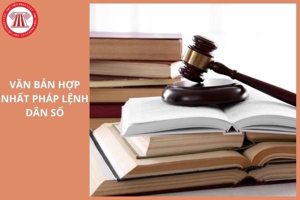 Hỏi đáp Pháp luật