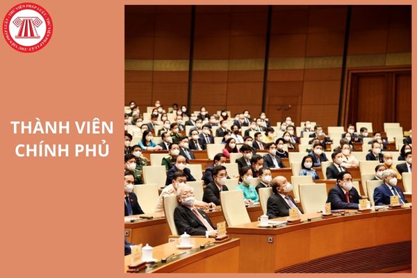 Hỏi đáp Pháp luật