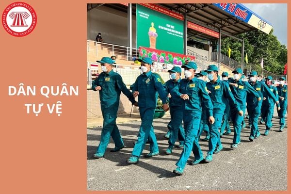 Hỏi đáp Pháp luật