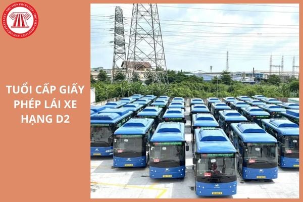 Hỏi đáp Pháp luật