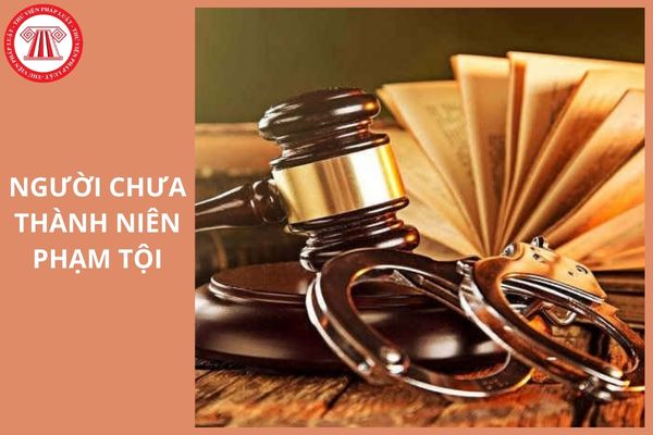 Hỏi đáp Pháp luật