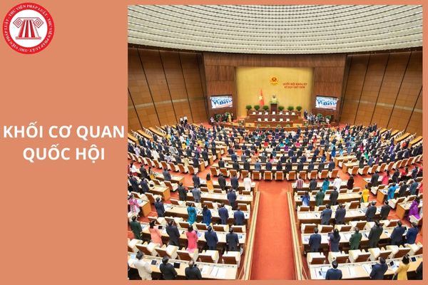 Hỏi đáp Pháp luật