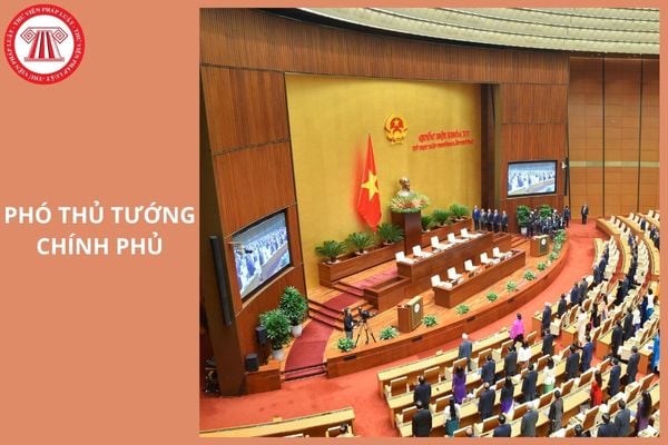 Hỏi đáp Pháp luật
